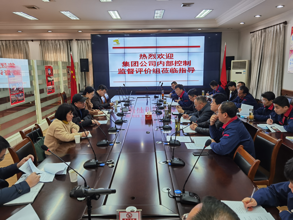 集團公司到公司開展內(nèi)控自評檢查工作  集團公司到公司開展內(nèi)控自評檢查工作